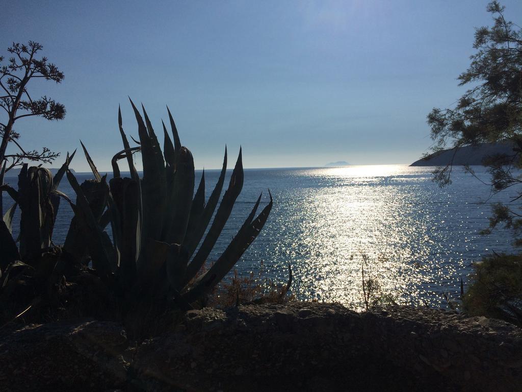 Villa Lavendel Trogir Bagian luar foto