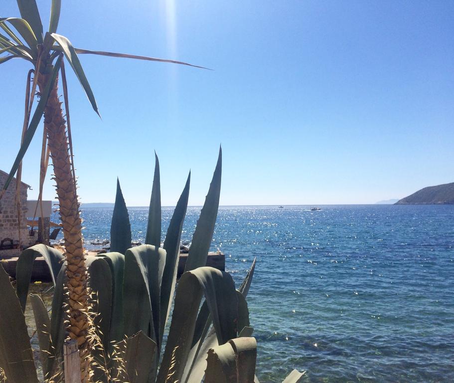 Villa Lavendel Trogir Bagian luar foto