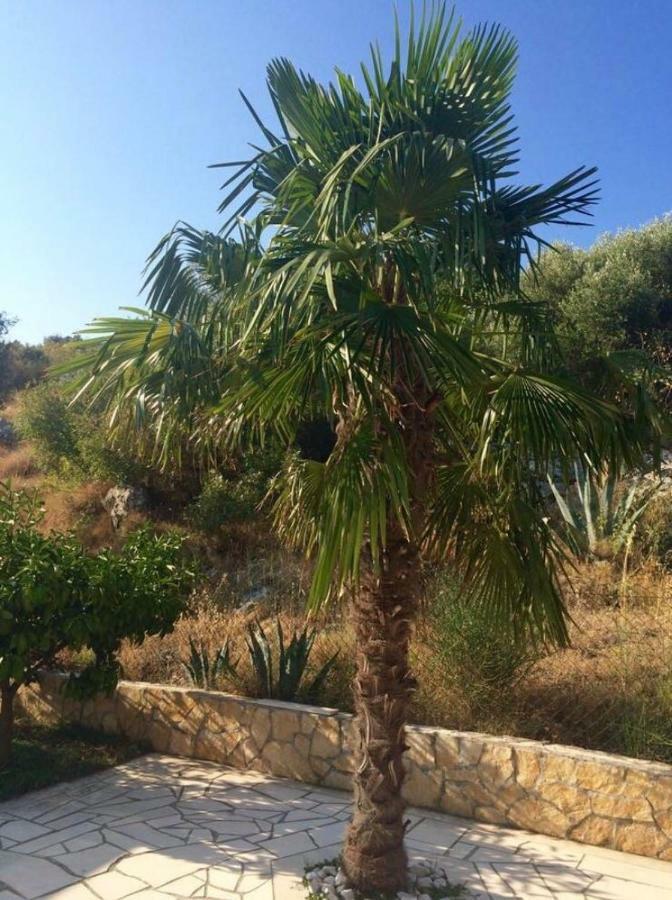 Villa Lavendel Trogir Bagian luar foto